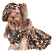 DoggyDolly Hundebekleidung Österreich,
Hundekleidung, Hundemode und Hundezubehör